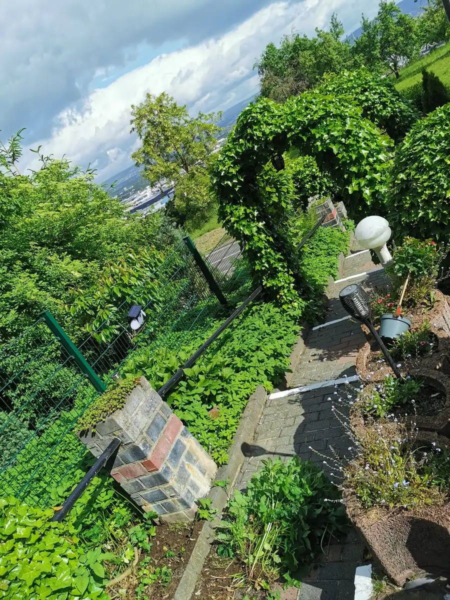 Gartenweg mit Efeubogen und gepflegter Bepflanzung